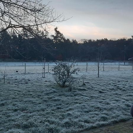 Natuurslaapkamer De Zaadeest Boskamer Lomm エクステリア 写真