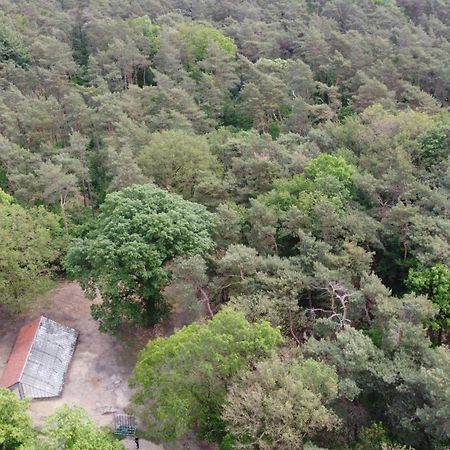 Natuurslaapkamer De Zaadeest Boskamer Lomm エクステリア 写真