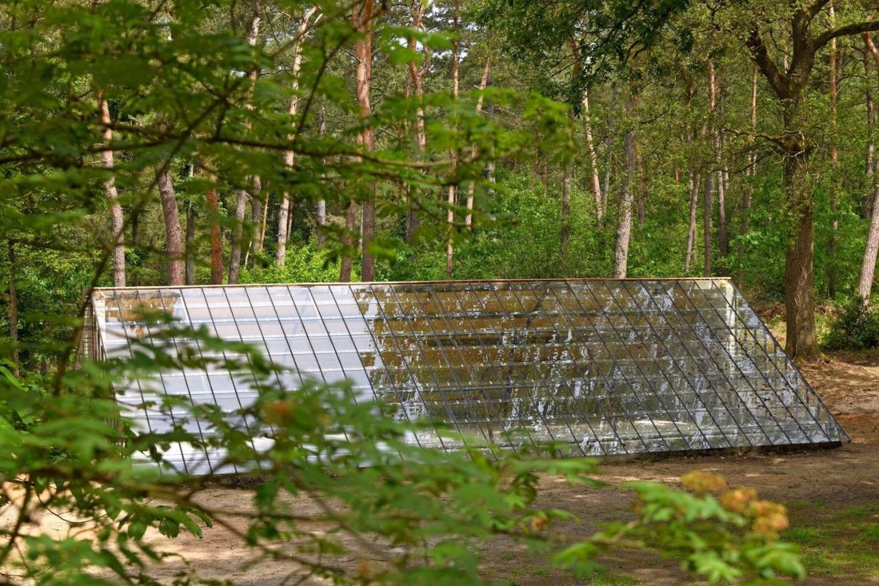 Natuurslaapkamer De Zaadeest Boskamer Lomm エクステリア 写真