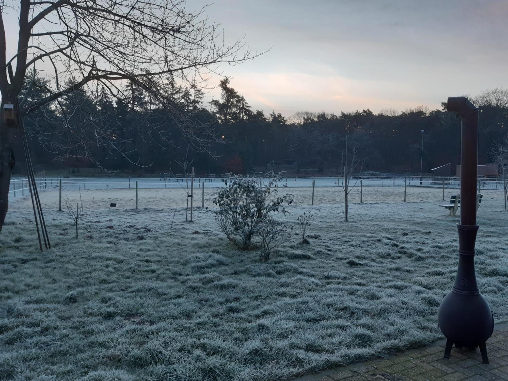 Natuurslaapkamer De Zaadeest Boskamer Lomm エクステリア 写真