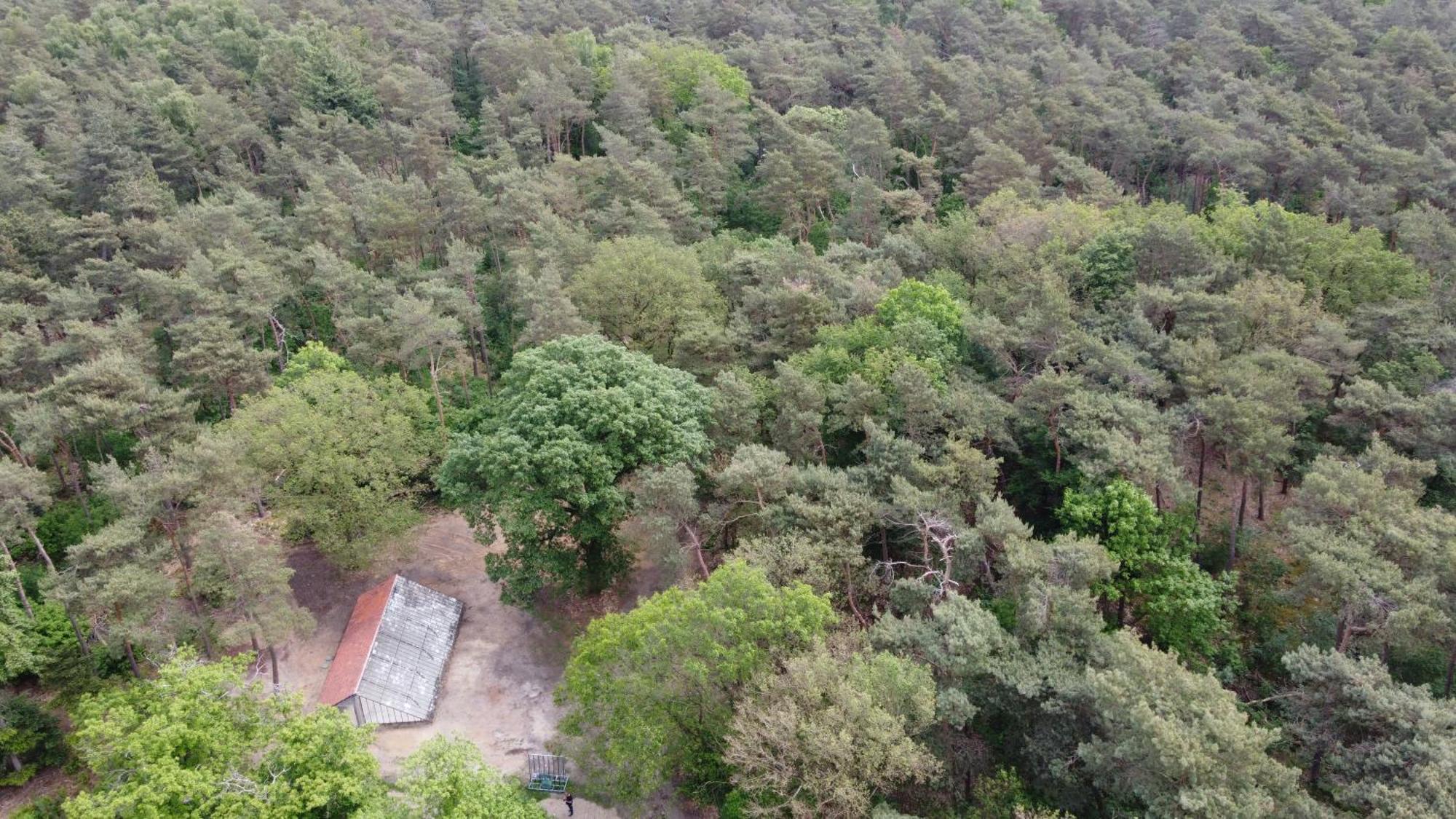 Natuurslaapkamer De Zaadeest Boskamer Lomm エクステリア 写真
